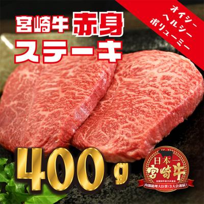 ふるさと納税 高原町 宮崎牛赤身ステーキ(400g)