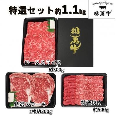 ふるさと納税 西都市 都萬牛特選セット[約1.1kg](焼肉・スライス・テーキ)[1167]