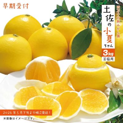ふるさと納税 四万十市 [早期受付・数量限定]甘味が強く酸味が少なめ[土佐の小夏ちゃん3kg家庭用]配送2026年5月下旬〜