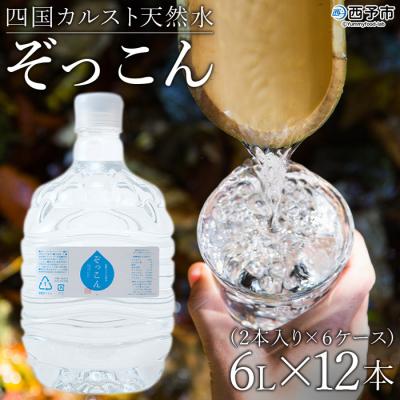 ふるさと納税 西予市 <四国カルスト天然水ぞっこん(6L×2本)×6ケース 計12本> ウォーター みず 備蓄 防災
