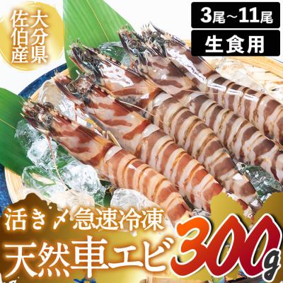 ふるさと納税 佐伯市 天然 活き〆車エビ 生食用 (計300g)