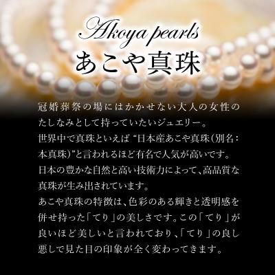 ふるさと納税 大分市 あこや本真珠ピアス 真珠8.5mm 14Kホワイトゴールド_R14109