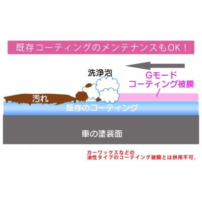 ふるさと納税 大分市 シャンプー\u0026コーティング剤「Gモード」1,000ml\u0026250mlセット_R14133の画像