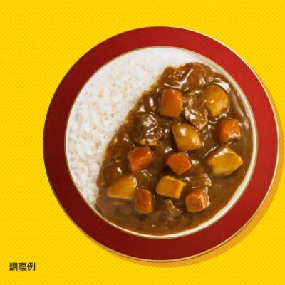 ふるさと納税 徳島市 ボンカレーネオ(中辛)【CA008】 中辛