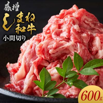 ふるさと納税 出雲市 藤増 しまね和牛小間切り 600g[冷凍]