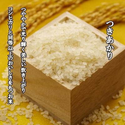 ふるさと納税 宝達志水町 米 令和6年 つきあかり 精米 10kg [中橋商事 石川県 宝達志水町 38600963] お米