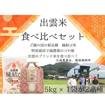 ふるさと納税 出雲市 特別栽培で栽培期間中、減農薬つや姫&amp;贈答ぴったり縁結びセット 5kg×2袋[2-042]