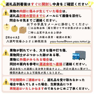 ふるさと納税 八頭町 【2026年発送】二十世紀梨 特選3kg_2