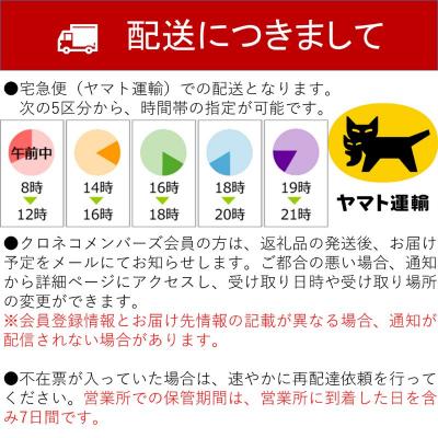 ふるさと納税 八頭町 【2026年発送】二十世紀梨 特選3kg_3