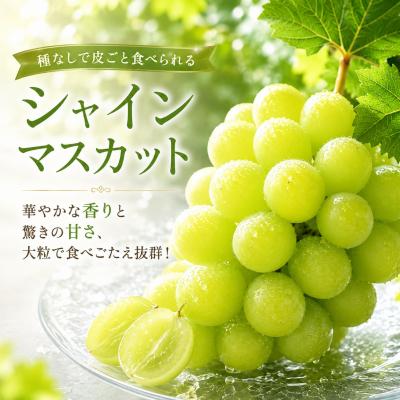 ふるさと納税 八頭町 シャインマスカットと旬の梨セット(小)_1
