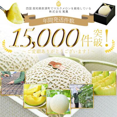 ふるさと納税 香南市 訳あり メロン2玉入り 青肉 2個 家庭用 マスクメロン 数量限定 2026年 tn-0025