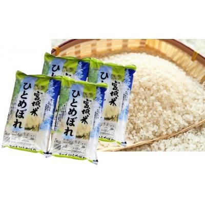 ふるさと納税 蔵王町 蔵王産 一等米 ひとめぼれkg 精米 5kg 4 No 5800 0276 最旬トレンドパンツ