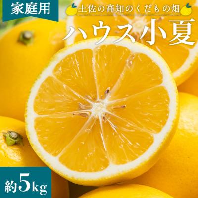 ふるさと納税 香南市 [2026年出荷分]ハウス小夏(日向夏)約5kg(家庭用) 土佐の高知のくだもの畑 kd-0030