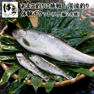 ふるさと納税 伊豆市 日本の滝100選「浄蓮の滝」を望むあまご釣りに挑戦!渓流釣り体験チケット入門編(2名様)