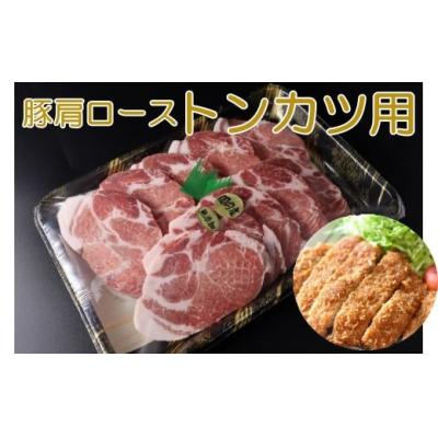 ふるさと納税 錦江町 [鹿児島県産 豚肩ロース]トンカツ用 (No.1338-1)