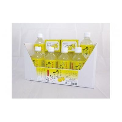 ふるさと納税 東伊豆町 ニューサマーオレンジ ジュレ ゼリーdeシャーベット(小) A016/甘味しるこや悠遊庵 ゼリー