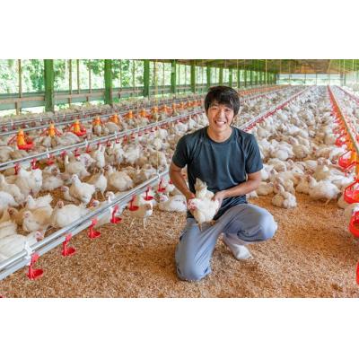ふるさと納税 山口市 秋川牧園 旨みたっぷり鶏肉セット E-002|y-sf|04