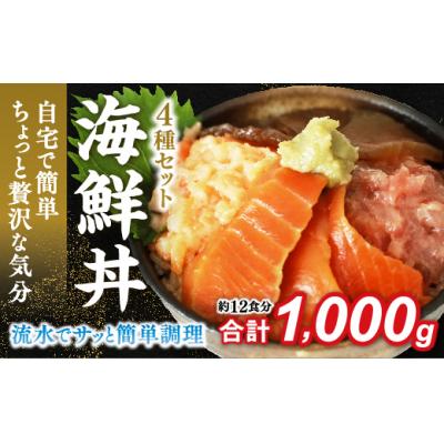 ふるさと納税 山口市 海鮮丼4品人気セット　1kg(ネギトロ他3品)E-177