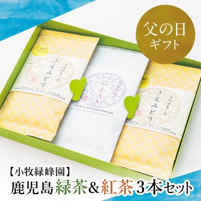 ふるさと納税 南さつま市 [父の日ギフト][日本茶AWARD受賞]鹿児島緑茶と紅茶のセット(計250g)