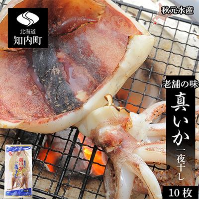 ふるさと納税 知内町 老舗の味 真いかの一夜干し 2枚入5パックセットlt 秋元水産gt オンライン限定商品