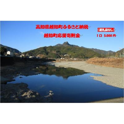 ふるさと納税 越知町 越知町応援寄付金(返礼品無し)5,000円