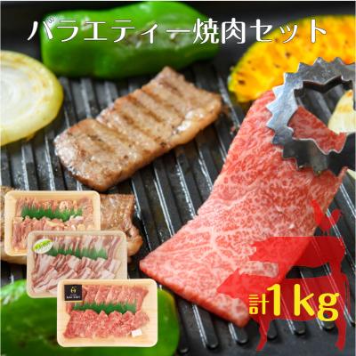 ふるさと納税 国東市 [A4〜A5等級]バラエティー焼肉セット_1852R