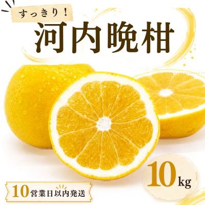 ふるさと納税 愛南町 [10営業日以内発送]河内晩柑 ばんかん 10kg 家庭 柑橘 みかん マルエム直販 愛媛県 愛南町