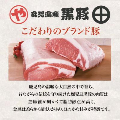 ふるさと納税 南さつま市 【鹿児島県産】黒豚 炭焼き焼豚とローストポーク詰め合わせ 計8本｜y-sf｜03