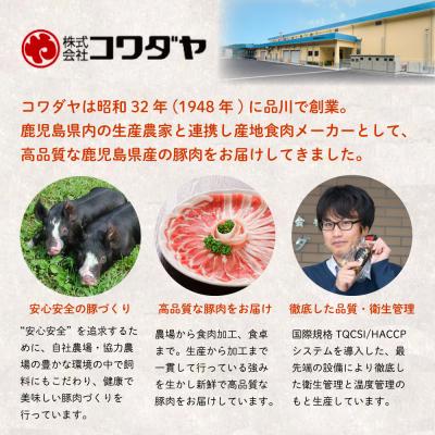 ふるさと納税 南さつま市 【鹿児島県産】黒豚 炭焼き焼豚とローストポーク詰め合わせ 計8本｜y-sf｜04