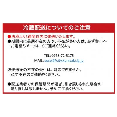 ふるさと納税 _国東市 冷蔵発送/おおいた和牛サーロインステーキ600g_1792R|y-sf|02
