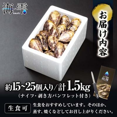 ふるさと納税 佐伯市 ひとくち真牡蠣 海雫〜umishizuku〜【生食可】|真牡蠣1.5kg|y-sf|03
