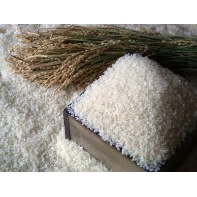 ふるさと納税 由仁町 [定期便]令和8年産 ななつぼし 5kg×3回[B01]