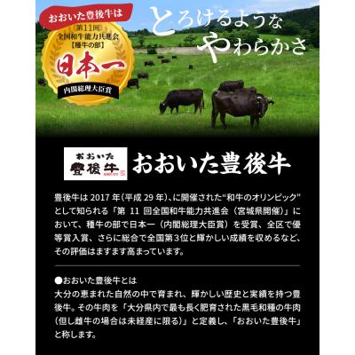 ふるさと納税 国東市 おおいた独り焼肉セット計600g/豊後牛カルビ,モモほか_1157R|y-sf|03