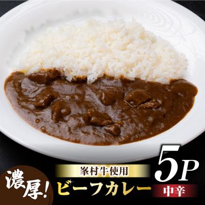 ふるさと納税 東御市 牧舎みねむら 濃厚あじわいビーフカレー 5個セット