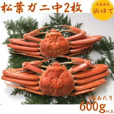 ふるさと納税 湯梨浜町 浜下商店 松葉ガニ中2枚〔浜ゆで〕(43K.)