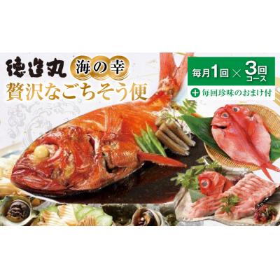 ふるさと納税 東伊豆町 (冷凍) 贅沢なごちそう定期便 毎月1回×3回+毎回人気の珍味付き E017 / 徳造丸 東伊豆町