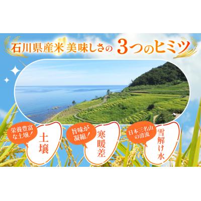 ふるさと納税 宝達志水町 米 令和7年 ひゃくまん穀 精米 10kg ×3袋 計30kg[中橋商事 石川県 38601203]の画像