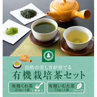 ふるさと納税 薩摩川内市 [2024年5月初旬発送]宮園製茶の桃セット ZS-920