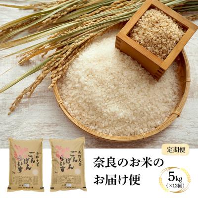 ふるさと納税 吉野町 奈良のお米のお届け便 5kg×1年分