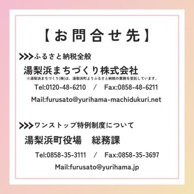 ふるさと納税 湯梨浜町 ドライフラワーXmasスワッグ〔花束〕(168M.)の画像