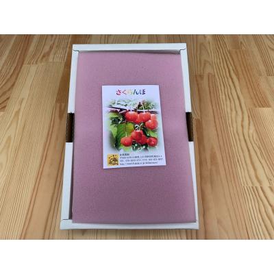 ふるさと納税 上山市 さくらんぼ(佐藤錦または紅秀峰)800g ご家庭用 0049-2201|y-sf|03