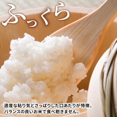 ふるさと納税 にかほ市 定期便 10kg×11ヶ月 大粒で低タンパクなひとめぼれ 土づくり実証米[No.5685-2089]｜y-sf｜03