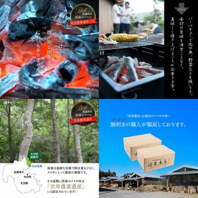 ふるさと納税 国東市 煙がなく匂わない! こだわり炭職人の国東木炭 10kg(5kg×2箱)_0510Z_1