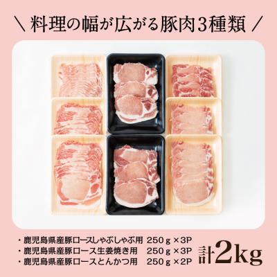 ふるさと納税 南さつま市 鹿児島県産 豚ロース3種類 計2kgセット(ロースしゃぶしゃぶ用、生姜焼き用、とんかつ用)|y-sf|02
