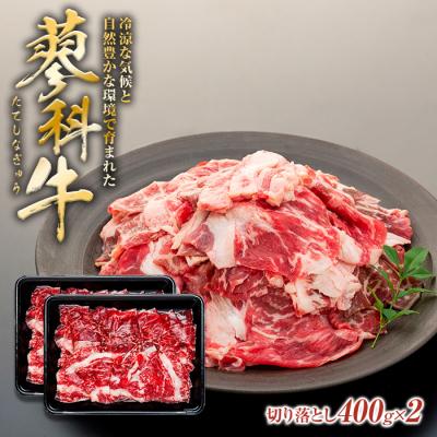 ふるさと納税 立科町 蓼科牛切落し400g×2