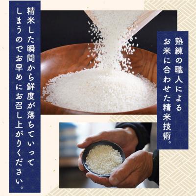 ふるさと納税 笠岡市 【令和5年6月発送】 令和4年産「備中笠岡ふるさと米 15kg 」【先行受付】|y-sf|04