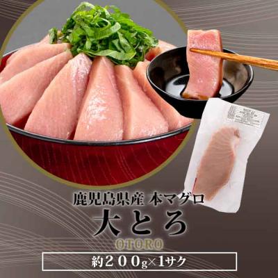 ふるさと納税 薩摩川内市 【2026年1月下旬より順次出荷】こしき本マグロ(大トロ) 200g AS-813_1