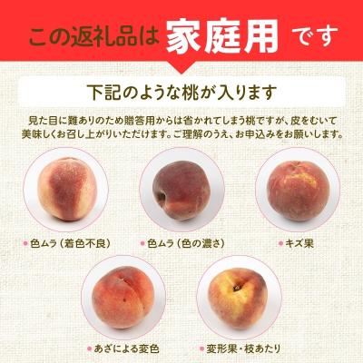 ふるさと納税 福島市 福島のもも 家庭用あかつき 約5kg【2026年発送 先行受付】No.2155の画像