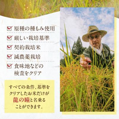 ふるさと納税 下呂市 【2025年産】3kg×1 飛騨産・龍の瞳(いのちの壱)株式会社龍の瞳直送 【14-12】_2