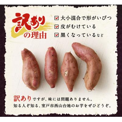 ふるさと納税 室戸市 【11月お届け】【訳あり】西山きんとき芋(サツマイモ) 10kg 新芋|y-sf|02